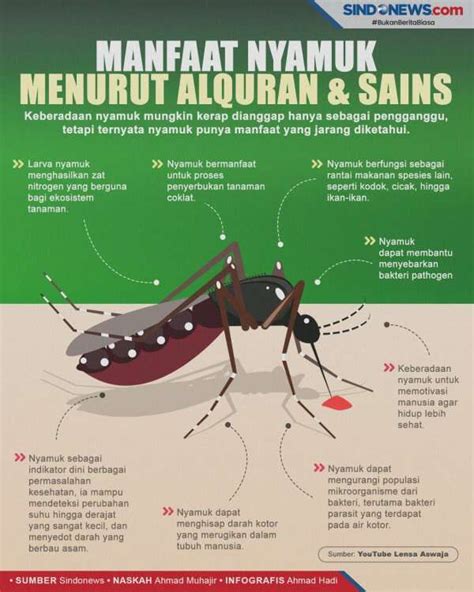 Manfaat Keamanan Apa Manfaat Nyamuk